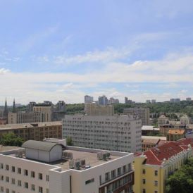 Img 9571